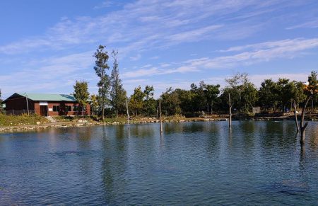 秋晴れのフィッシングパーク高島の泉で釣りまくる